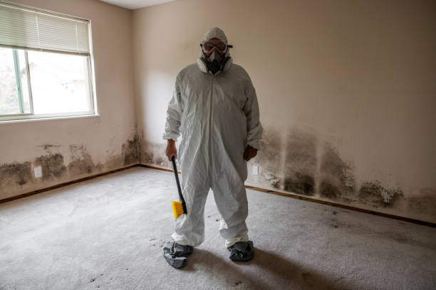 Best Biohazard Mold Removal  in Aledo, TX